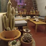 Casa Pura Vida דירה אלמריה