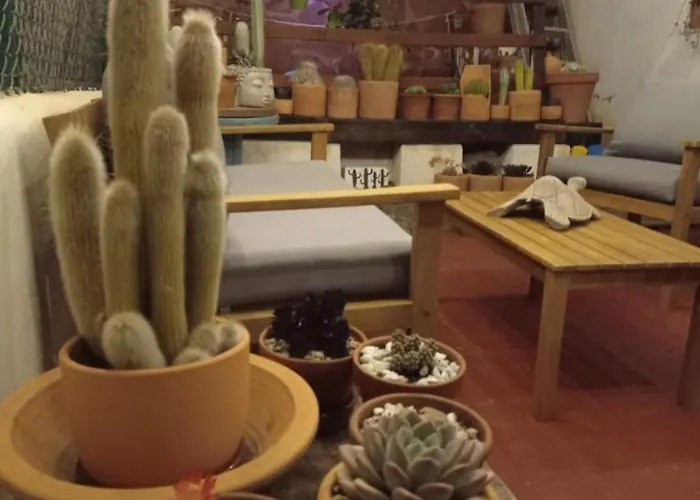 Casa Pura Vida Apartment Almería